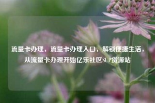 流量卡办理，流量卡办理入口，解锁便捷生活，从流量卡办理开始亿乐社区SUP货源站