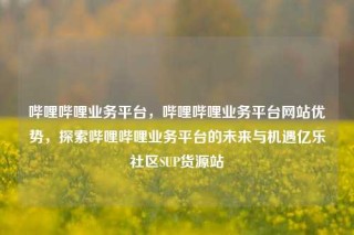 哔哩哔哩业务平台，哔哩哔哩业务平台网站优势，探索哔哩哔哩业务平台的未来与机遇亿乐社区SUP货源站