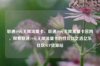 联通19元无限流量卡，联通19元无限流量卡官网，探索联通19元无限流量卡的性价比之选亿乐社区SUP货源站