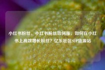 小红书粉丝，小红书粉丝如何涨，如何在小红书上高效增长粉丝？亿乐社区SUP货源站