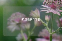 玖伍云软件下载