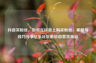 抖音买粉丝，如何在抖音上购买粉丝，策略与技巧分享亿乐社区低价自营货源站