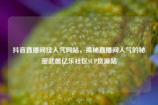 抖音直播间挂人气网站，揭秘直播间人气的秘密武器亿乐社区SUP货源站