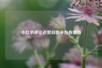 小红书评论点赞自助平台有哪些