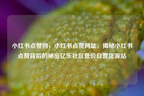 小红书点赞网，小红书点赞网址	，揭秘小红书点赞背后的秘密亿乐社区低价自营货源站  第1张