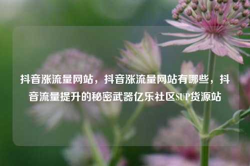 抖音涨流量网站，抖音涨流量网站有哪些	，抖音流量提升的秘密武器亿乐社区SUP货源站  第1张
