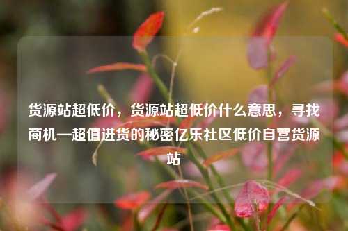 货源站超低价，货源站超低价什么意思，寻找商机—超值进货的秘密亿乐社区低价自营货源站  第1张