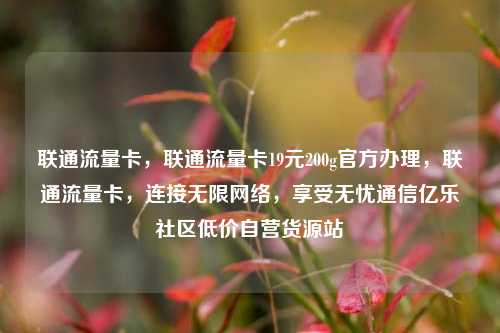 联通流量卡，联通流量卡19元200g官方办理，联通流量卡	，连接无限网络，享受无忧通信亿乐社区低价自营货源站  第1张