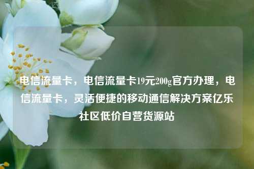 电信流量卡，电信流量卡19元200g官方办理，电信流量卡	，灵活便捷的移动通信解决方案亿乐社区低价自营货源站  第1张