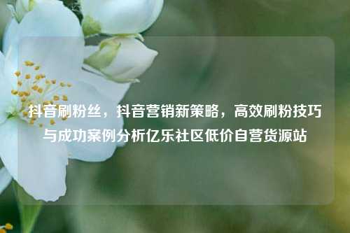 抖音刷粉丝，抖音营销新策略	，高效刷粉技巧与成功案例分析亿乐社区低价自营货源站  第1张