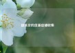 超低价的货源店铺收集
