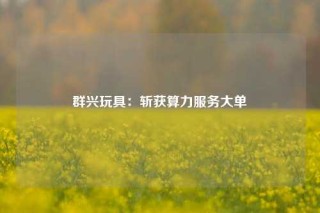 群兴玩具：斩获算力服务大单
