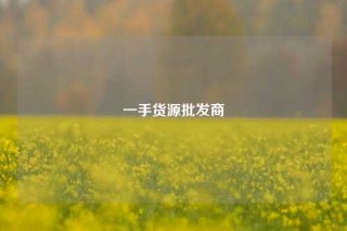 一手货源批发商