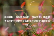 两碗社区，两碗镇两碗村，双碗共生，城市微更新中的社区韧性实践亿乐社区低价自营货源站