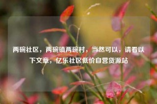 两碗社区，两碗镇两碗村，当然可以，请看以下文章，亿乐社区低价自营货源站