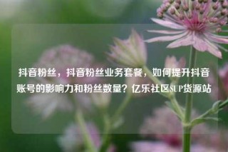 抖音粉丝，抖音粉丝业务套餐，如何提升抖音账号的影响力和粉丝数量？亿乐社区SUP货源站