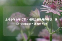 上海小学生暑（寒）托班会增设开办期数、延长办班时间吗？团市委回应