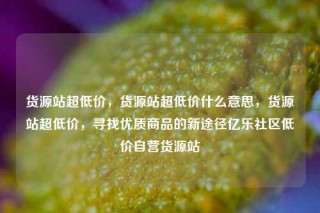 货源站超低价，货源站超低价什么意思，货源站超低价，寻找优质商品的新途径亿乐社区低价自营货源站