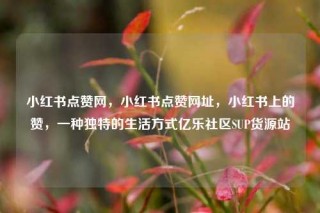 小红书点赞网，小红书点赞网址，小红书上的赞，一种独特的生活方式亿乐社区SUP货源站