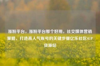 涨粉平台，涨粉平台那个好用，社交媒体营销策略，打造高人气账号的关键步骤亿乐社区SUP货源站