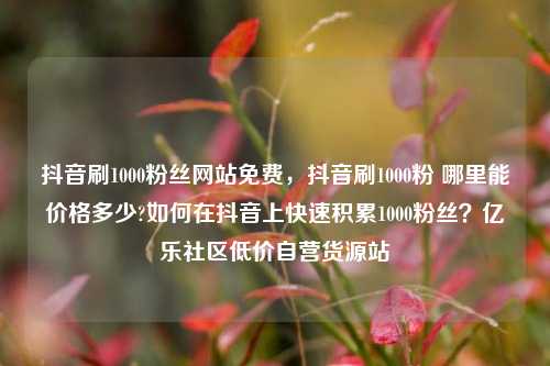 抖音刷1000粉丝网站免费	，抖音刷1000粉 哪里能价格多少?如何在抖音上快速积累1000粉丝？亿乐社区低价自营货源站  第1张