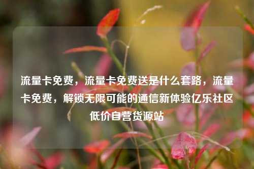流量卡免费	，流量卡免费送是什么套路，流量卡免费，解锁无限可能的通信新体验亿乐社区低价自营货源站  第1张
