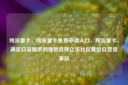 纯流量卡，纯流量卡免费申请入口，纯流量卡	，满足日常需求的理想选择亿乐社区低价自营货源站  第1张