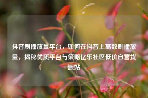 抖音刷播放量平台，如何在抖音上高效刷播放量	，揭秘优质平台与策略亿乐社区低价自营货源站  第1张