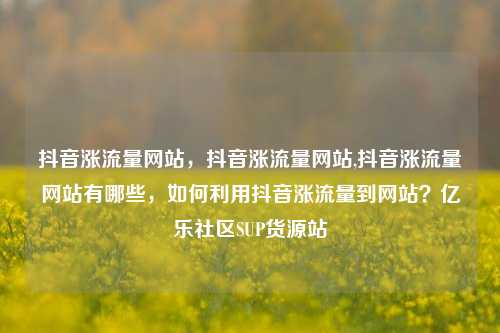 抖音涨流量网站，抖音涨流量网站,抖音涨流量网站有哪些	，如何利用抖音涨流量到网站？亿乐社区SUP货源站  第1张